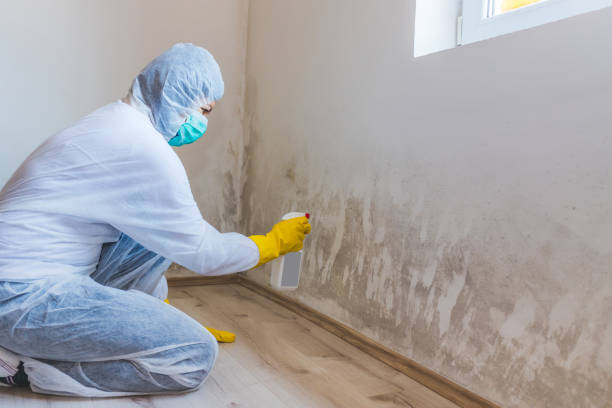 Mold Remediation specialist working in Clementon
